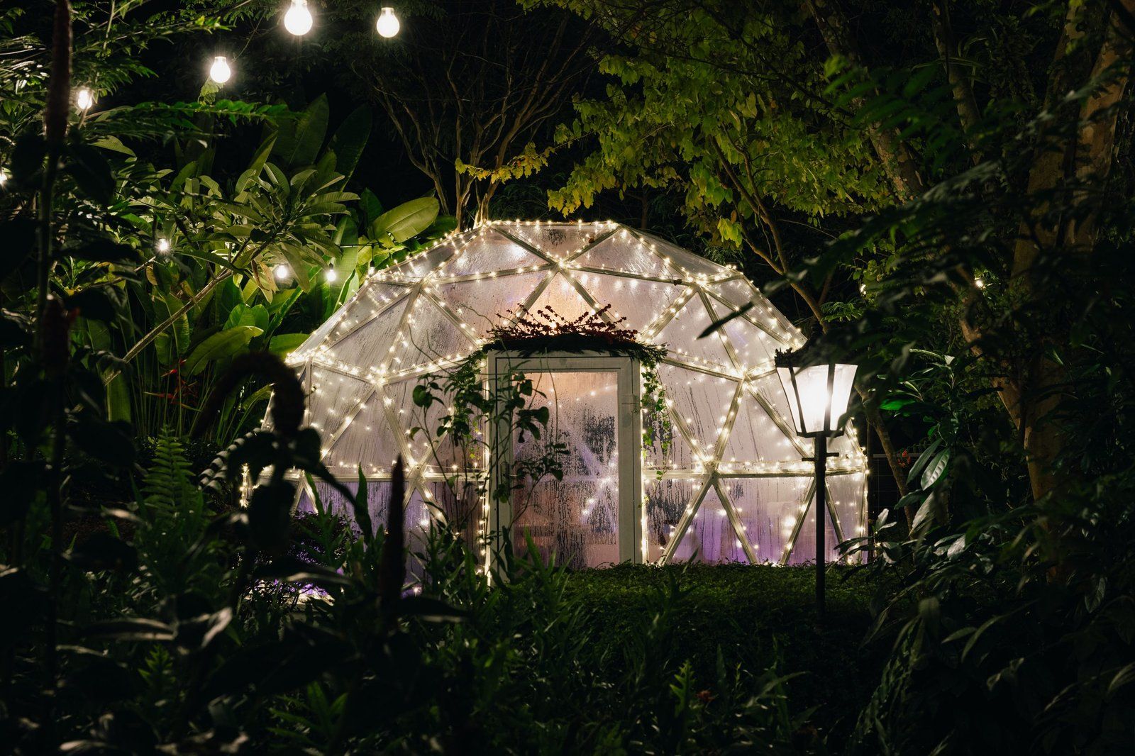 Garden dome glowing with fairy lights at night
