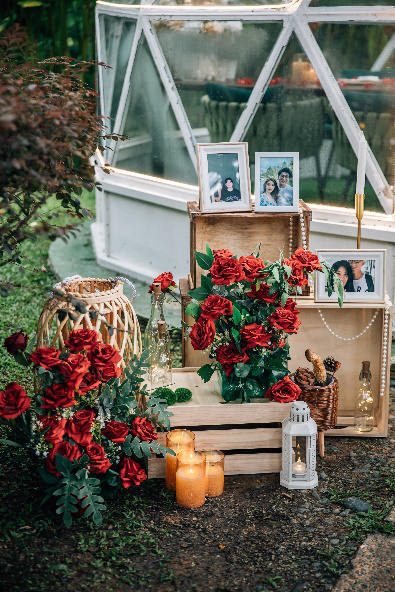 Red rose setup in the garden